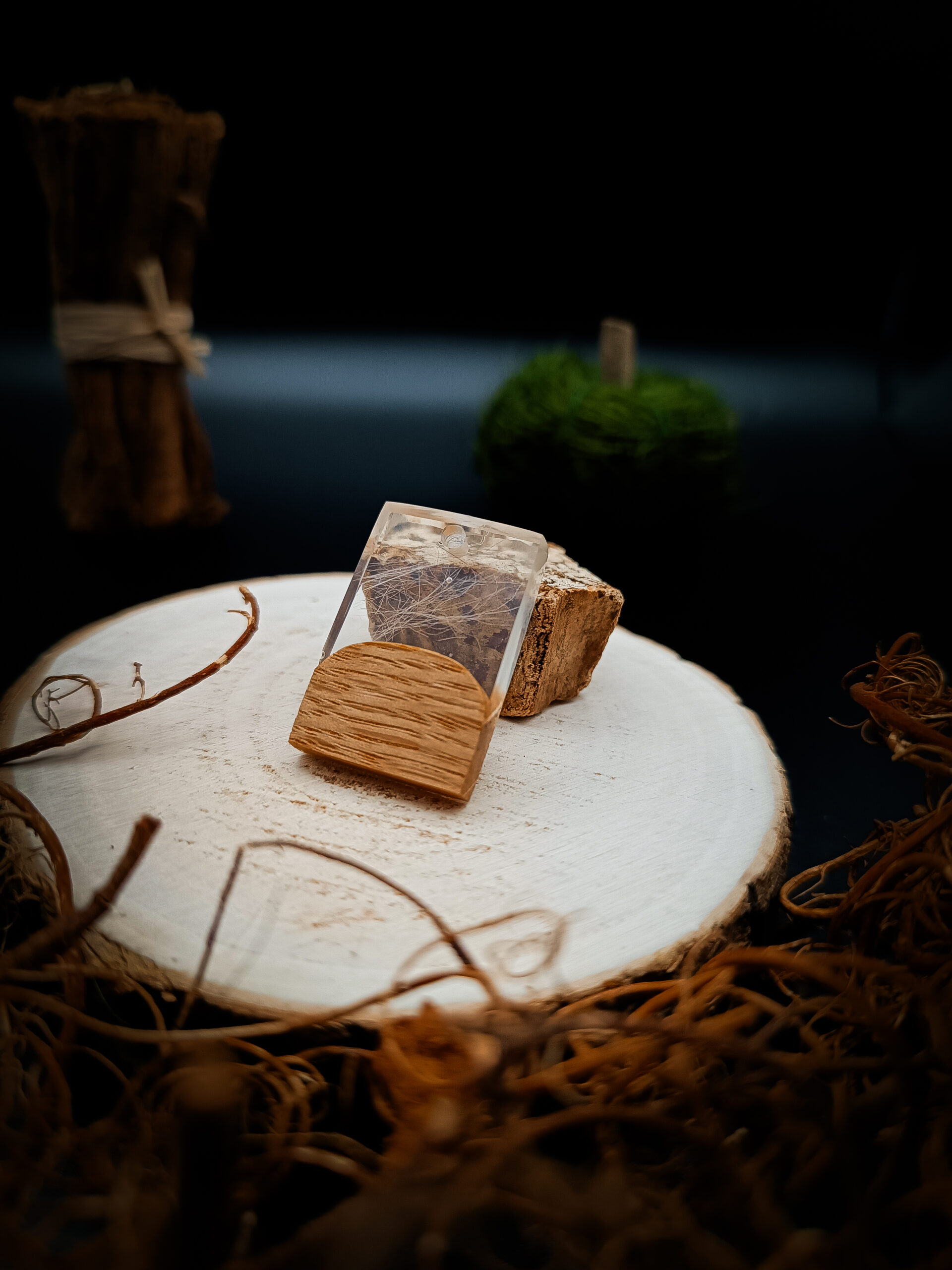 Waldglanz – Bild 2