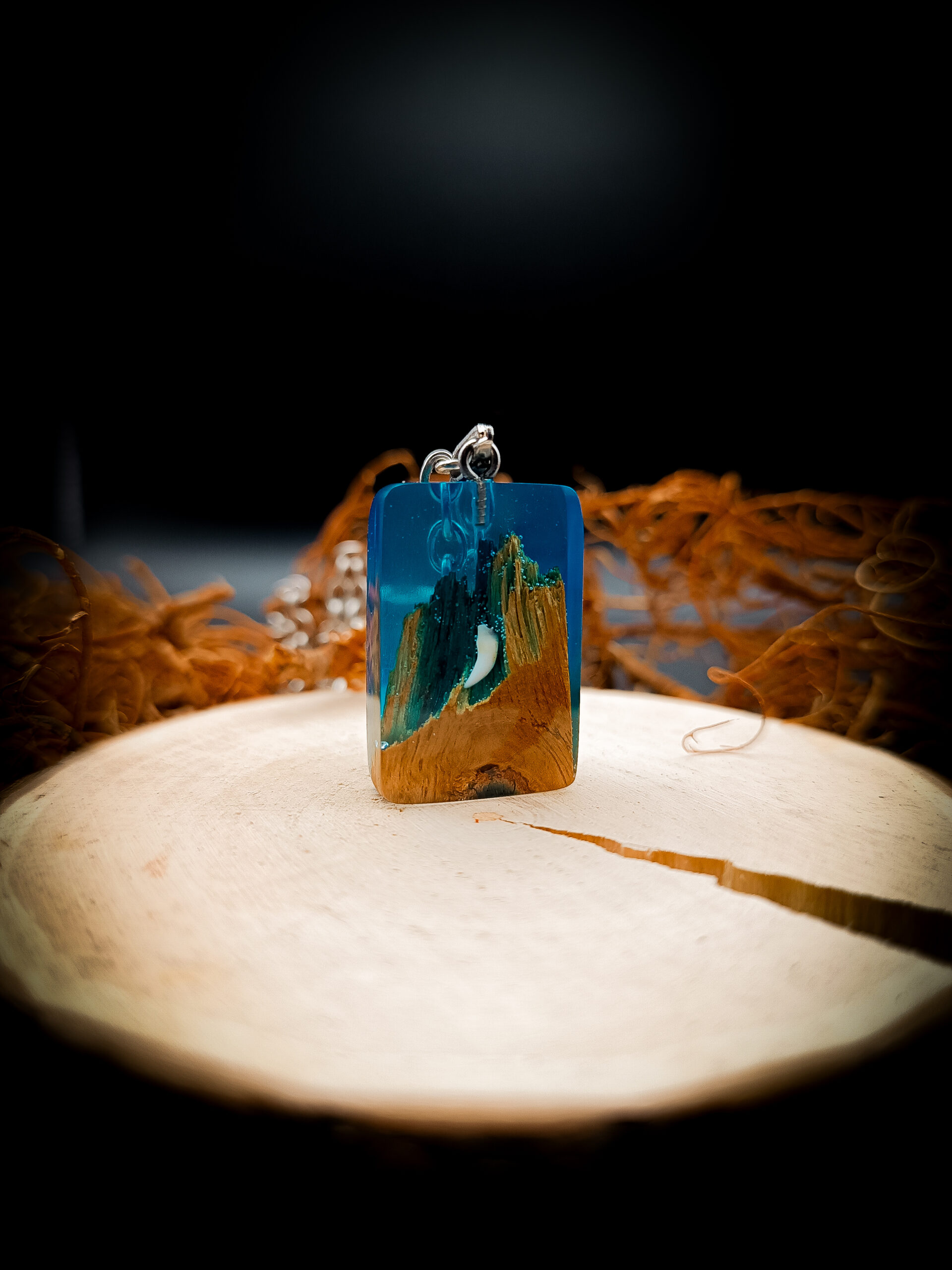 MeeresGlanz – Bild 2